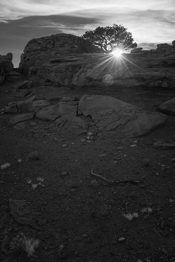 Black and white picure of a sunrise in the desert.