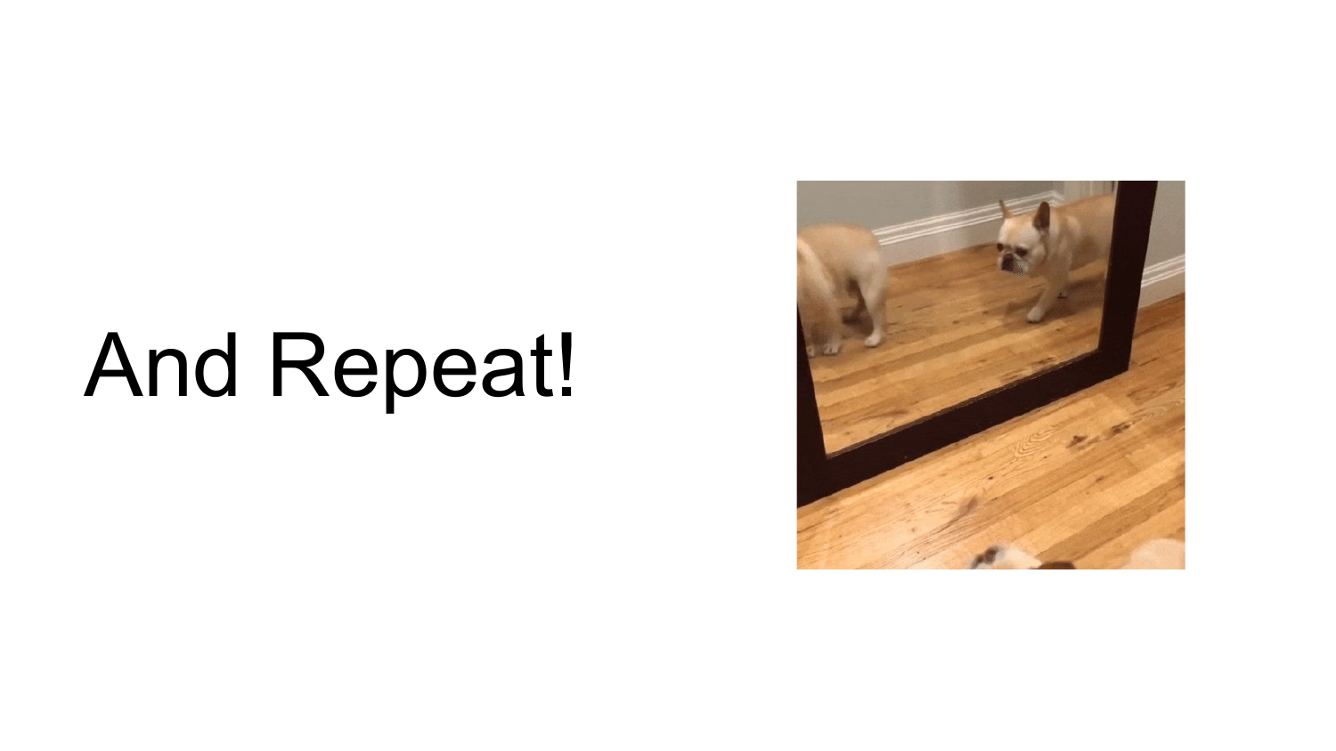 Slide 7